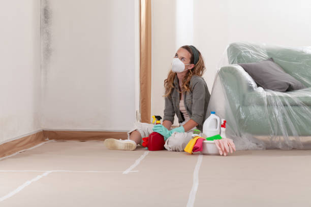 Reliable Crawl Space Mold Removal contractor in Minnesota, MN by WQB Mold Removal